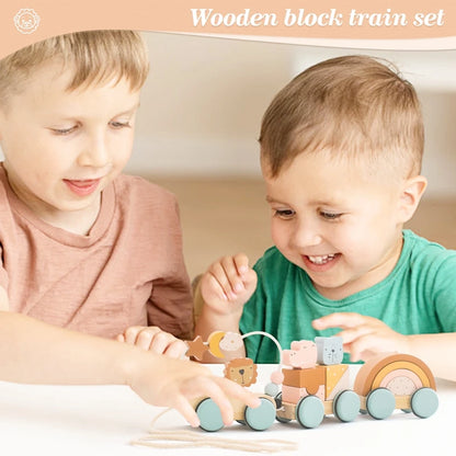 Baby Montessori Toys Wooden Train Educational Rainbow Blocks Trolley Baby Learning Toys