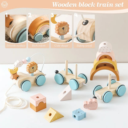 Baby Montessori Toys Wooden Train Educational Rainbow Blocks Trolley Baby Learning Toys