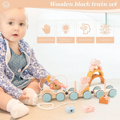 Baby Montessori Toys Wooden Train Educational Rainbow Blocks Trolley Baby Learning Toys