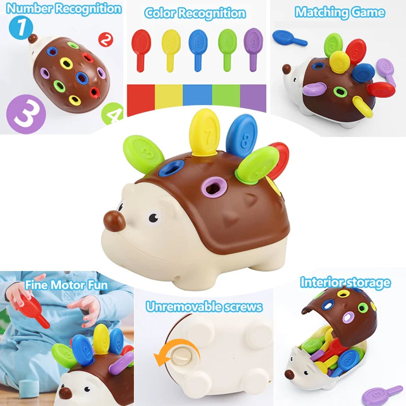 Hedgehog Montessori Educational Toy Fine Motor Learning Counting & Training Develop Concentration Sensory