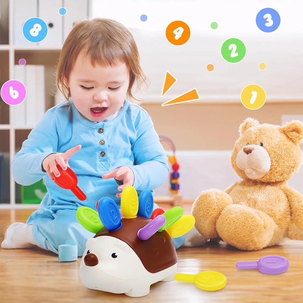 Hedgehog Montessori Educational Toy Fine Motor Learning Counting & Training Develop Concentration Sensory